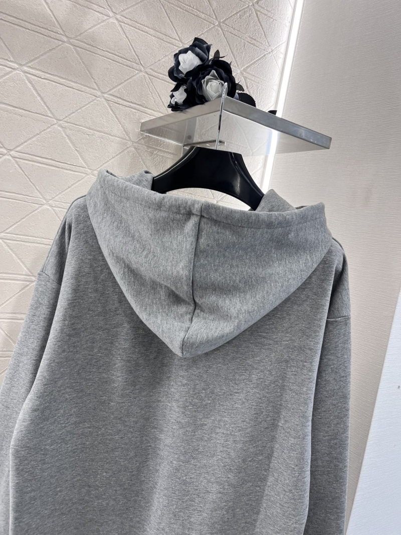 Celine Hoodies